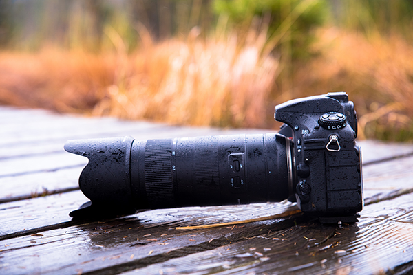 Tamron 70-210mm F/4 Di VC USD Telephoto Zoom Lens Review | Shutterbug